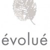 Seo Consulting