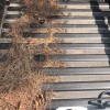 Crazy Clean Car Wash