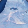 Danna Pools