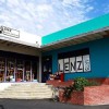Lenz Arts