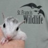 St Francis Wildlife