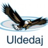 Uldedaj Accounting & Business Services