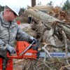 South Bend Tree Service