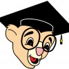 New Life Discovery Schools