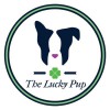 The Lucky Pup