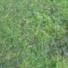 M & B Septic Service