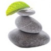 Spring Mountains Acupuncture Fertility & Wellness