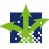 Cascade Asset Management