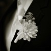 Mostardi Photography