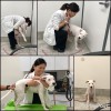 PetVet Animal Hospital