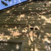 Cip Remodeling & Repairs