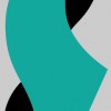 Align Physical Therapy & Wellness