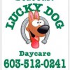 Seacoast Lucky Dog Daycare