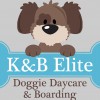 K&B Elite Doggie Daycare
