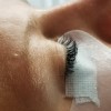 The Lash CEO-A Brow & Lash Studio