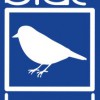 Blue Bird Carpet & Janitorial