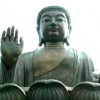 Insight Meditation South Bay