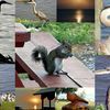 Fort Morgan Rv Park