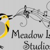 Meadow Lark Studios