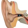 Pueblo Hearing Aid Services