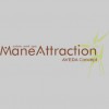 Mane Attraction Salon