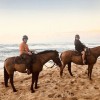 Oahu Horseback Rides