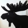 Black Moose Chimney & Stove