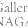 Gallery NAGA