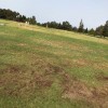 Coombs Development
