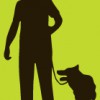 Walk It Like A Dog