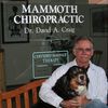 Mammoth Chiropractic & Sports Medicine
