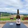Rizzo Winery