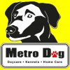 La Amiga Pet Care