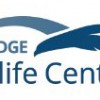 Blue Ridge Wildlife Center