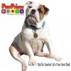Pawprints In Home Pet Sitting