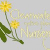 Clearwater Native Plant Nursery