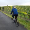 Wine Country Bikes