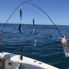 AllWater Charters & Boat Rentals