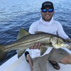 Funk Charters