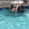 Sea Otter Swim Lessons