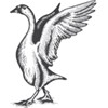Goose & Gander