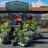 Village Gardens