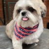 HighStanding Kennel & Stable
