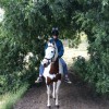 Peppercorn Ranch