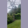 Premier Tree Service