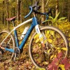Bicycle Bill's