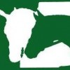 The Riding Store