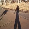 Have Leash Will Travel