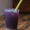 Rise Up Nutrition