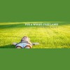 Lime Green Lawn Care